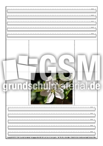 Popup-Buch-Apfel-1-10.pdf